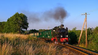 Der Rasende Roland auf Rügen - Sommer 2024