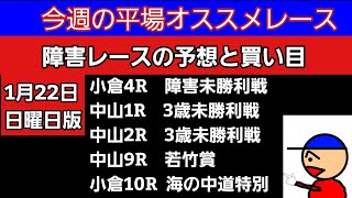 [障害レース予想と平場オススメレース予想と買い目]1月22日日曜日版 若竹賞　海の中道特別　障害未勝利戦　3歳未勝利戦他