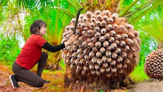 Farm Life | Harvesting Bird's Head Fruit Go to Sell - A fruit shaped like a bird | Luyến Harvesting