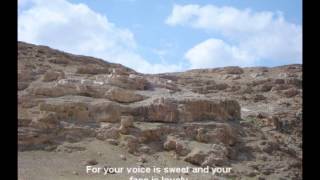 Yonati BeKhagvey Hasela - Oh My Dove, in the Clefts of the Rock