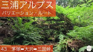 三浦アルプス43　茅塚⇨大沢⇨三国峠　【バリエーション・ルート】