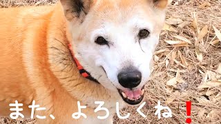 寒くて風も強いけど、みんな元気です🐺🎶😊(4月1日)