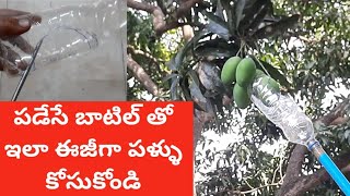 పనికిరాని బాటిల్ తో పళ్ళు కోసుకునే పరికరం