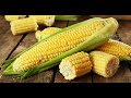 தினமும் மக்காச்சோளம் சாப்பிடுவதால் என்ன நடக்கும் benefits of corn in tamil