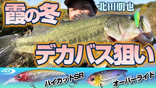 霞の冬、デカバス狙い！ハイカット、オーバーライドで冬の霞ヶ浦を釣りまくる！【北田朋也】