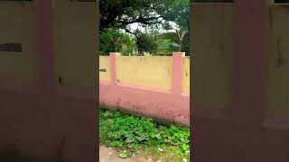 Bhimavaram DNR college #ytshorts #viral #bhimavaram #hotstar