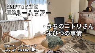 【ルームツアー】我が家のお値段以上なニトリさん。日々のお米の保管方法などルームツアーを交えてご紹介　#団地暮らし　#50代　#ルームツアー