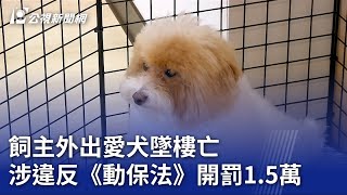 飼主外出愛犬墜樓亡 涉違反《動保法》開罰1.5萬｜20230731 公視晚間新聞