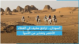 السودان.. تراجع مخيف في الغطاء الأخضر وتحذير من الأسوأ