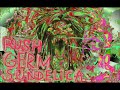 rushgerm sundelica full album gaber hc hardcore