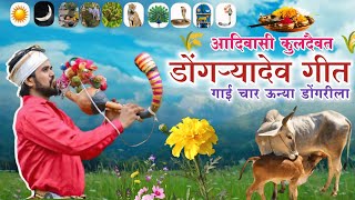 आदिवासी डोंगऱ्यादेव गीत | गाई चार र उन्या गाई चार डोंगरीला new Dongaryadev song #pcdinesh