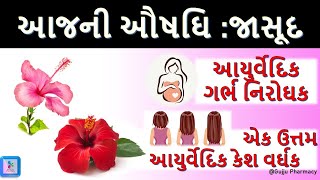 જાસૂદના ફાયદા | જાસૂદના ફૂલના ચમત્કારિક ફાયદા | સફેદ વાળને ફરીથી કાળા કરે, નવા વાળ ઉગાડે | આજની ઔષઘિ