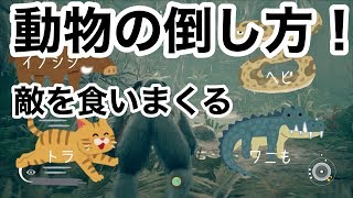 【ヘビ、トラ、ワニなど動物の倒し方など攻略、初心者向け遊び方！】アンセスターズ実況