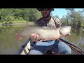 big bowfin on escambia river