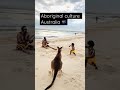 beautiful beach kangaroo and aboriginal culture australia shorts short shortvideo shortsfeed