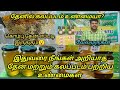 Honey wholesale business tamil / தேன் மொத்த வியாபாரம் / imran