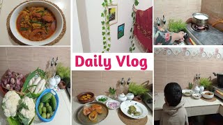 আমি যেভাবে সবজি বাজার গুছিয়ে রাখি  || My Daily lifestyle || #vlog :68