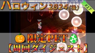 【チョコットランド】今しか取れない！ハロウィン2024限定ペット取得まで #17 #レトロゲーム  #実況プレイ