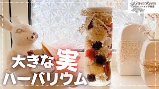 【ありえない！】大きな木の実が入るハーバリウムの作り方