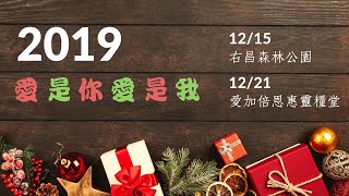 2019年愛是你愛是我｜聖誕活動宣傳影片