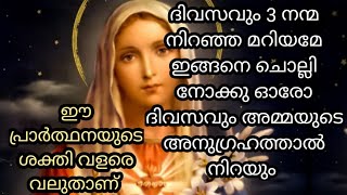 ദിവസവും ഇങ്ങനെ 3 നന്മ നിറഞ്ഞ മറിയമേ ചൊല്ലുന്നതിന്റെ ശക്തി വളരെ വലുതാണ്, ചൊല്ലി nokku