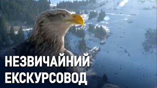 Малосніжна зима на курорті: власники шукають альтернативні види розваг