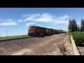 BNSF intermodal train in escalon ca