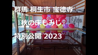 群馬 桐生市 宝徳寺『秋の床もみじ』特別公開2023