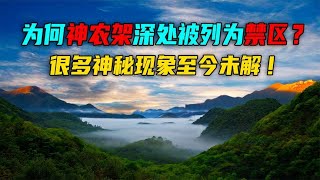 中国最神秘的地方，神农架究竟隐藏着多少秘密？看完你还会去吗？