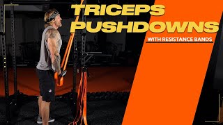 Arms | How To Do Triceps Pushdowns with Resistance Bands