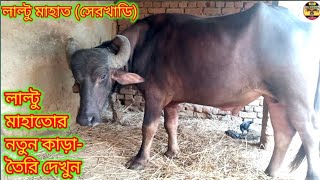 লাল্টু মাহাতোর নতুন কাড়া-তৈরি দেখুন/ Laltu Mahato (Sekhadih) #bm_purulia/ #kara_larai