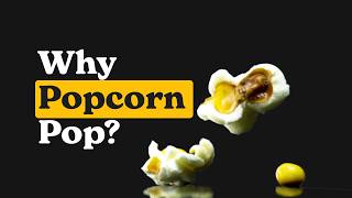 Why Popcorn Pop?