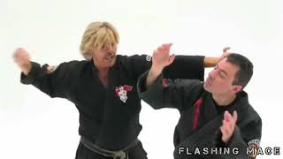 Kenpo Karate - Mestre Larry Tatum - Técnica Flashing Mace.