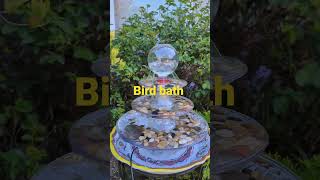 New Bird Bath Feature