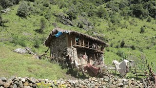 Nepali Mountain Village Life of West Nepal || Happyness in  Nature || IamSuman