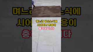 며느리가 임신소식 알리니 나중에 이야기 하자는 시골시어머니