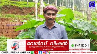 വീട്ടുമുറ്റത്തും ഇനി രക്ഷയില്ല; കാട്ടുപന്നികൾ  കൃഷി നശിപ്പിച്ചു