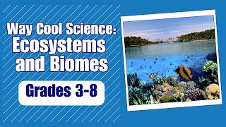What are Ecosystems and Biomes - More Way Cool Science on Harmony Square