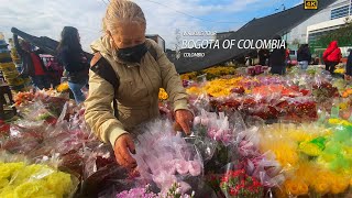 Flower Market Tour in Bogota, Colombia - Exploring Paloquemao's Colorful Blooms!