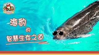 【「自然‧玩！」系列 —《海豹篇》第一集】