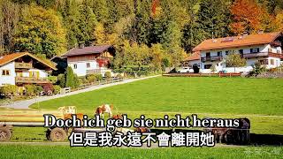 Schwarzbraun ist die Haselnuss - 黑褐色的榛子