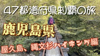 【47都道府県制覇の旅】鹿児島県 屋久島 縄文杉ハイキング