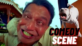 Mithun Chakraborty को अपने ही कुत्ते ने किया अटैक | Dog Biting Scene | Golmaal 3 | Johny Lever