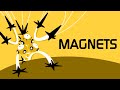 Magnetism in Pokemon