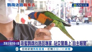 這隻鸚鵡走失還會自己報警! \