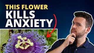 Purple Passionflower for Anxiety and Panic Attacks - A Natural Remedy that Works?