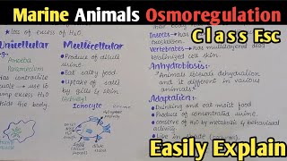 Osmoregulation In Marine Animals | Class 12 Biology