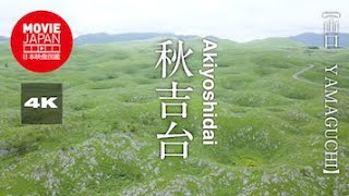 山口　秋吉台  4K  Akiyoshidai