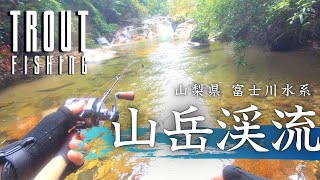 【Trout  Fishing】フィッシュマンロッドで行く念願の山岳渓流で大苦戦…山梨県富士川水系【渓流ベイト】