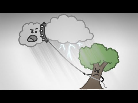 Why does the tropical rainforest have the most rainfall?